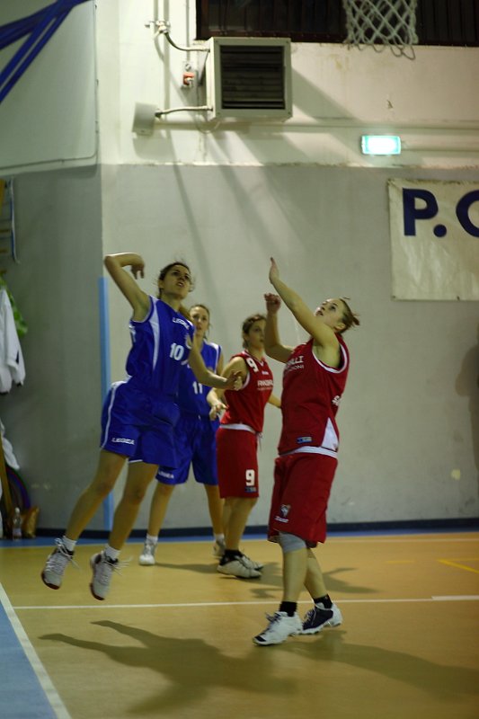 Basket 443003